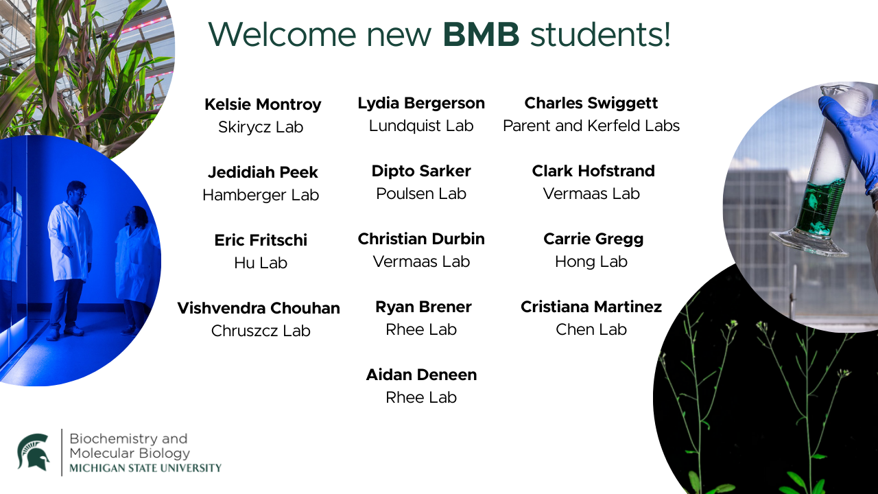 A graphic listing BMB's 13 new Graduate students