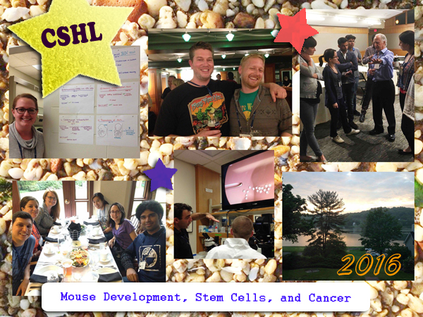 combo_pic_CSHL_2016