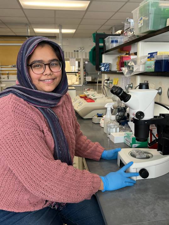 Farina Aziz