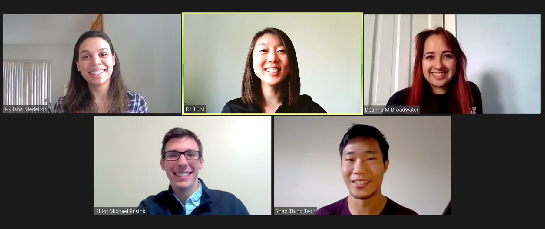 Screenshot of a Lunt lab Zoom conference call