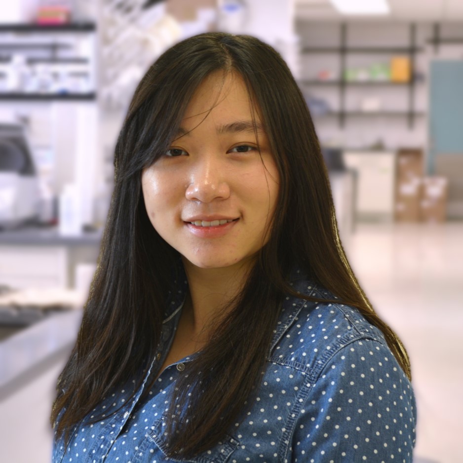 Portrait of Che Yang