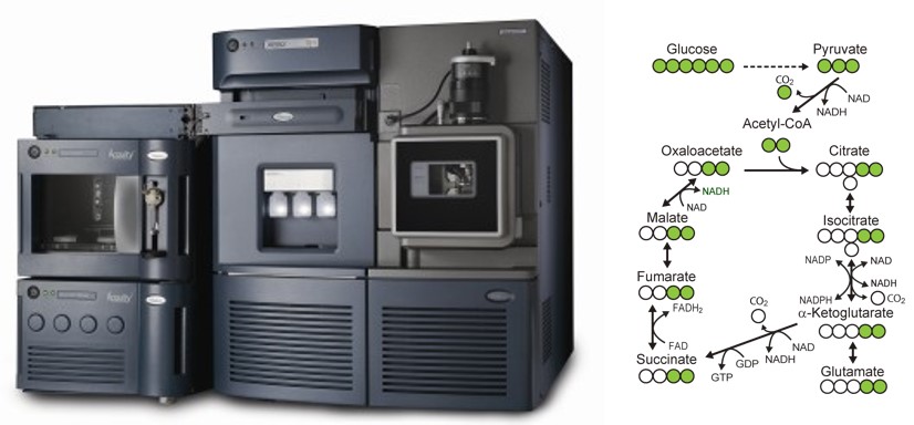 Graphic of mass spectrometry machine and a chart of techniques
