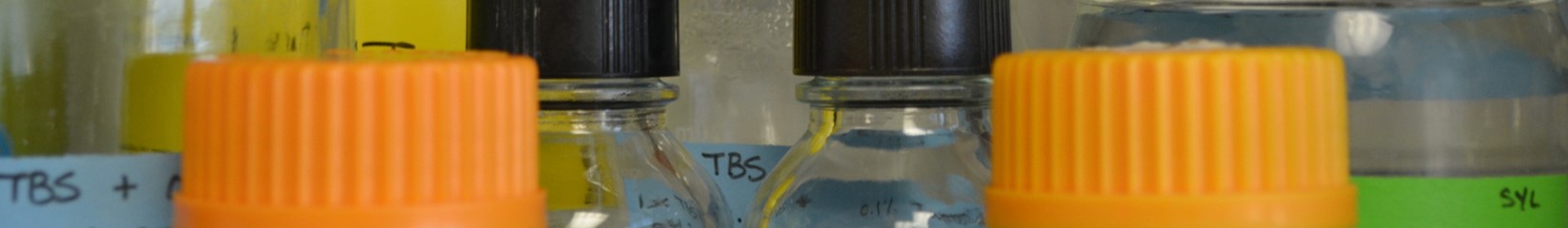 decorative image of orange and black scientific vial caps