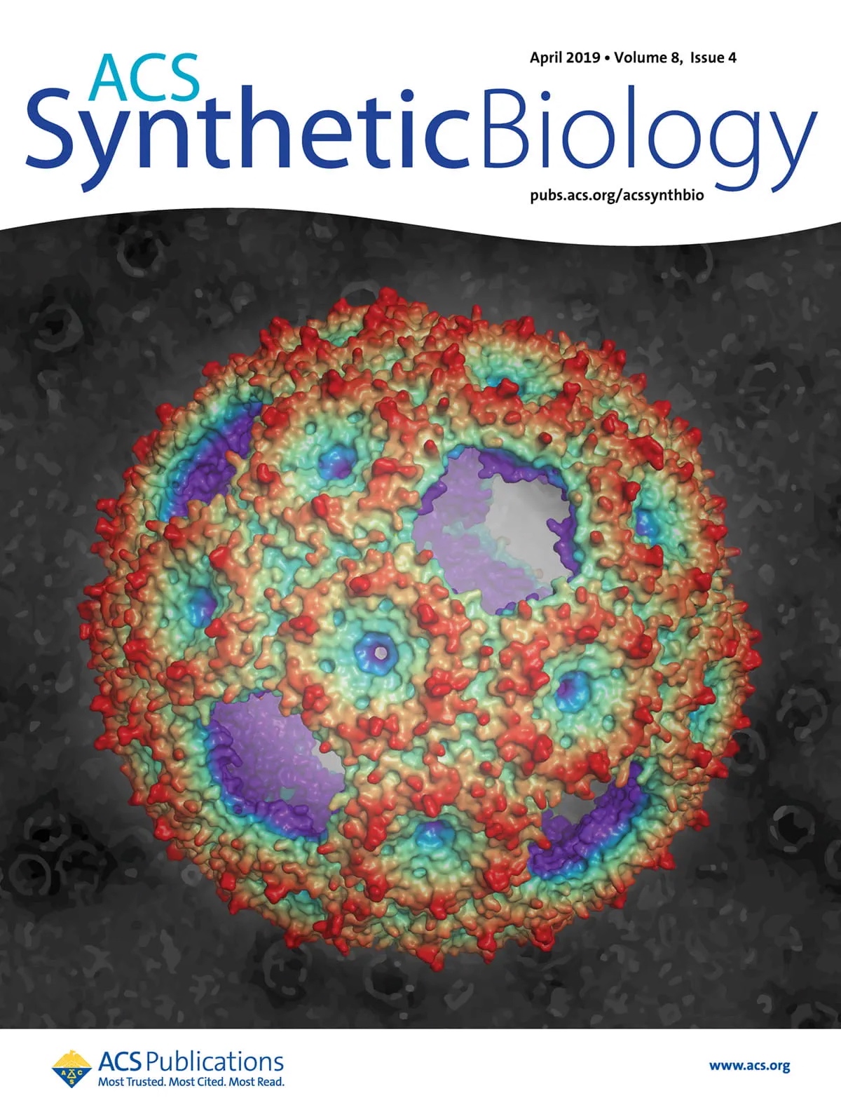 Michigan State University’s Cheryl Kerfeld and her colleagues have been instrumental in revealing the form and function of bacterial microcompartments. Cover art for a 2019 issue of the journal ACS Synthetic Biology features some of their work, showing a rendering of the protein shell of a synthetic compartment. Reprinted with permission from ACS Synth. Biol. 2019, 8, 4. Copyright 2019 American Chemical Society.