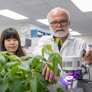 Tom Sharkey in his lab.