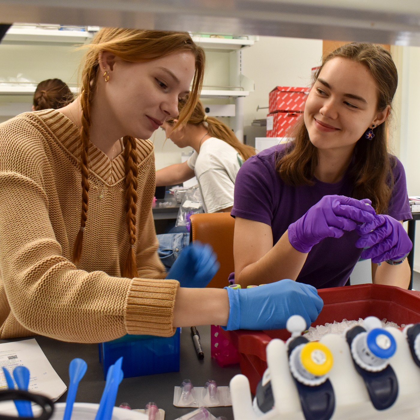 REU students perform experiments in the lab.