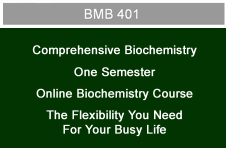 Informational image: "BMB 401- Comprehensive Biochemistry One Semester Online Biochemistry Course- The Flexibility You Need For Your Busy Life"