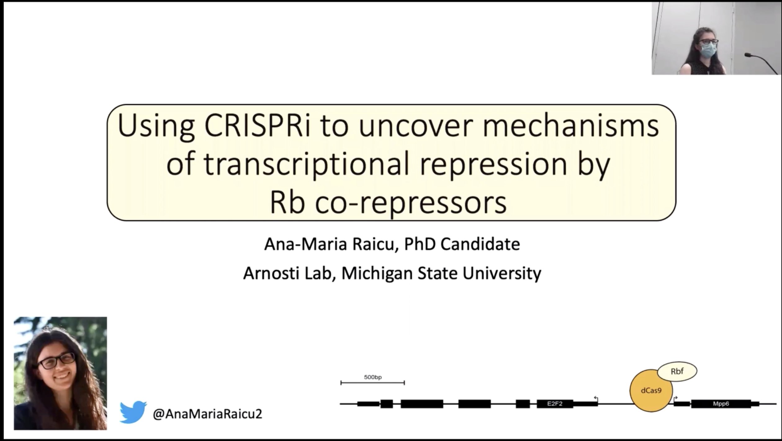 Drosophila Conference presentation