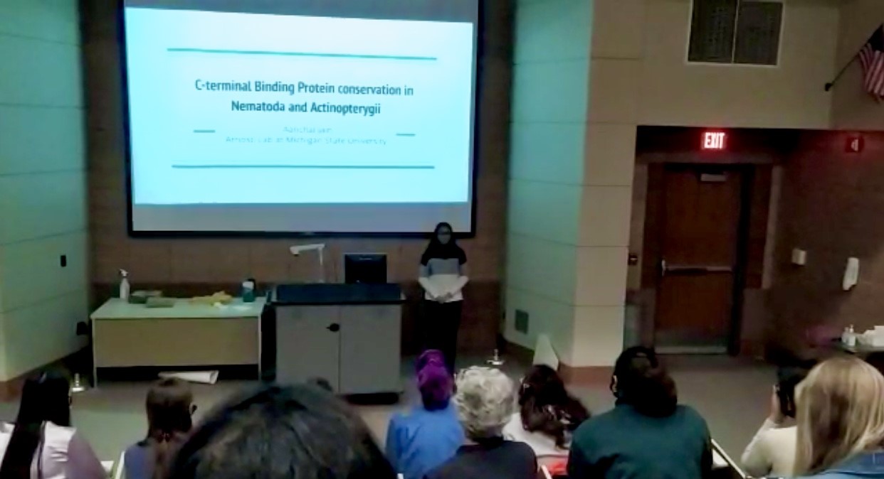 Presentation