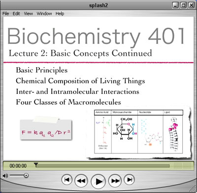 Image of sample lecture video