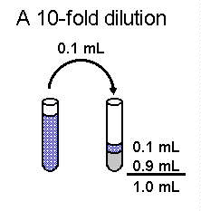 10-fold dilution example