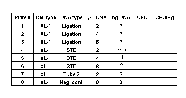 Data table layout