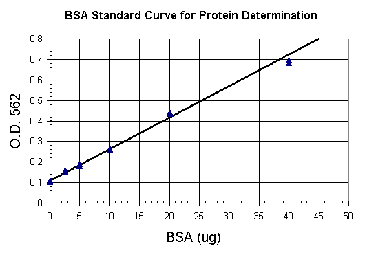 BSA standard curve