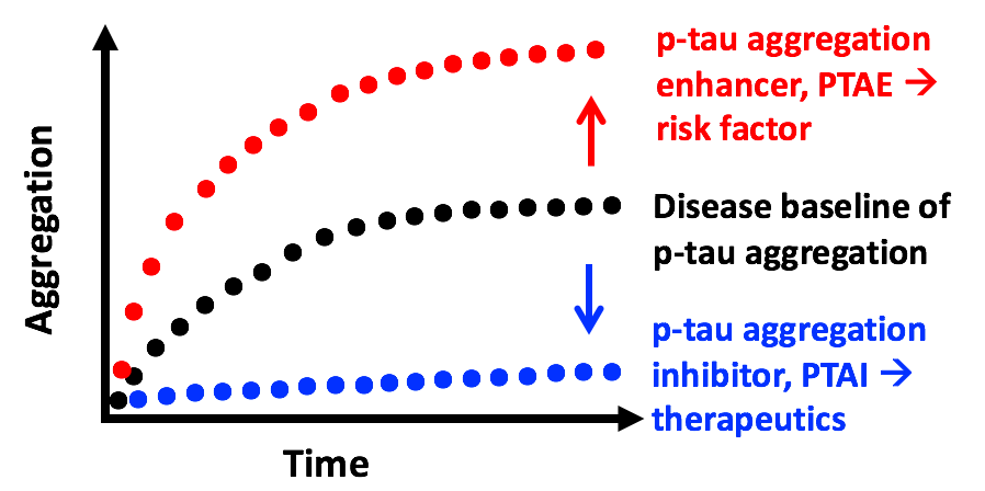 p-tau aggregation enhancer/inhibitor figure