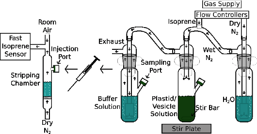 gas exchange apparatus