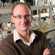 Plant Scientist Gregg Howe Named MSU Foundation Professor